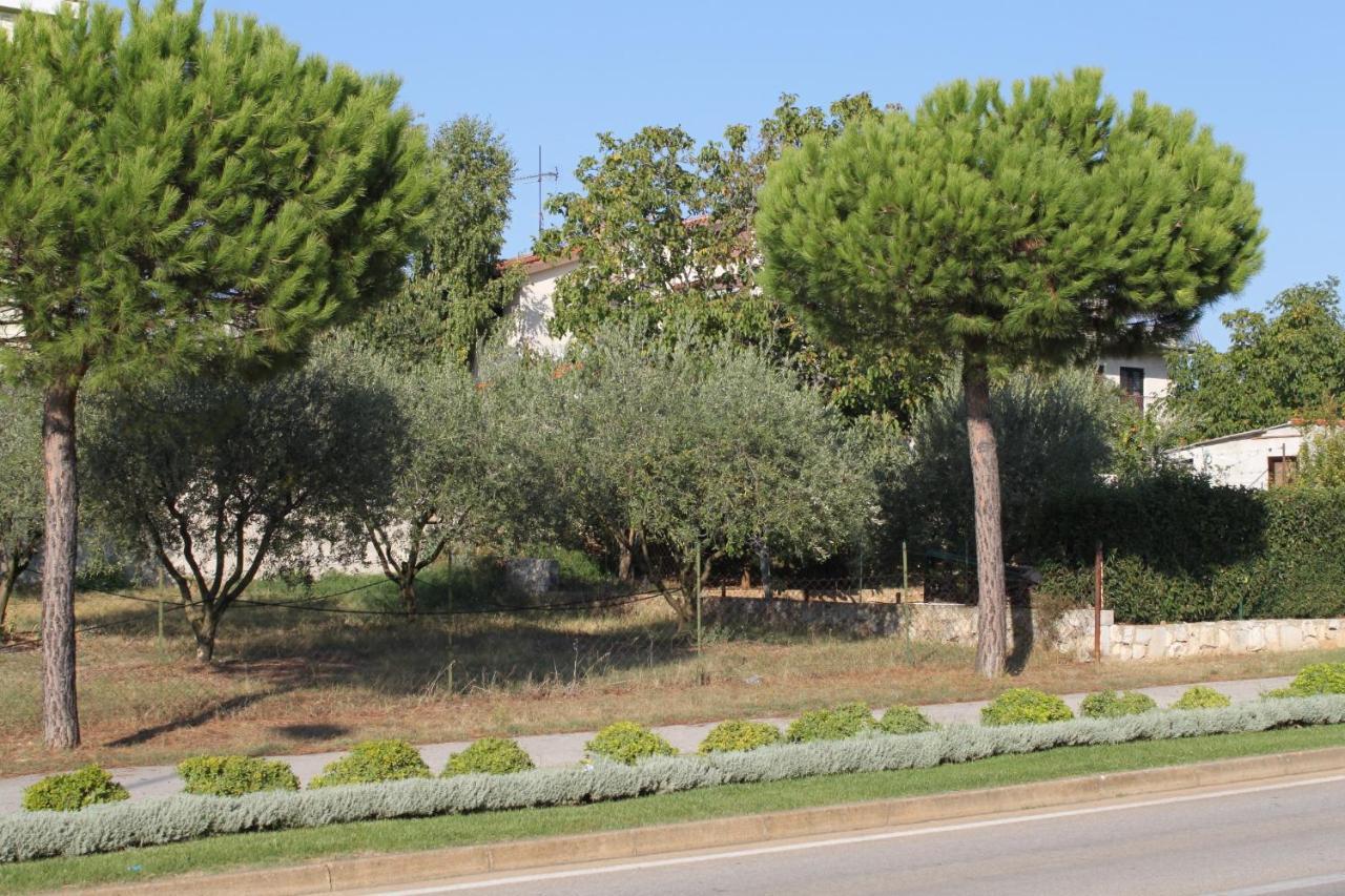 Apartments And Rooms With Parking Space Rovinj - 7170 מראה חיצוני תמונה