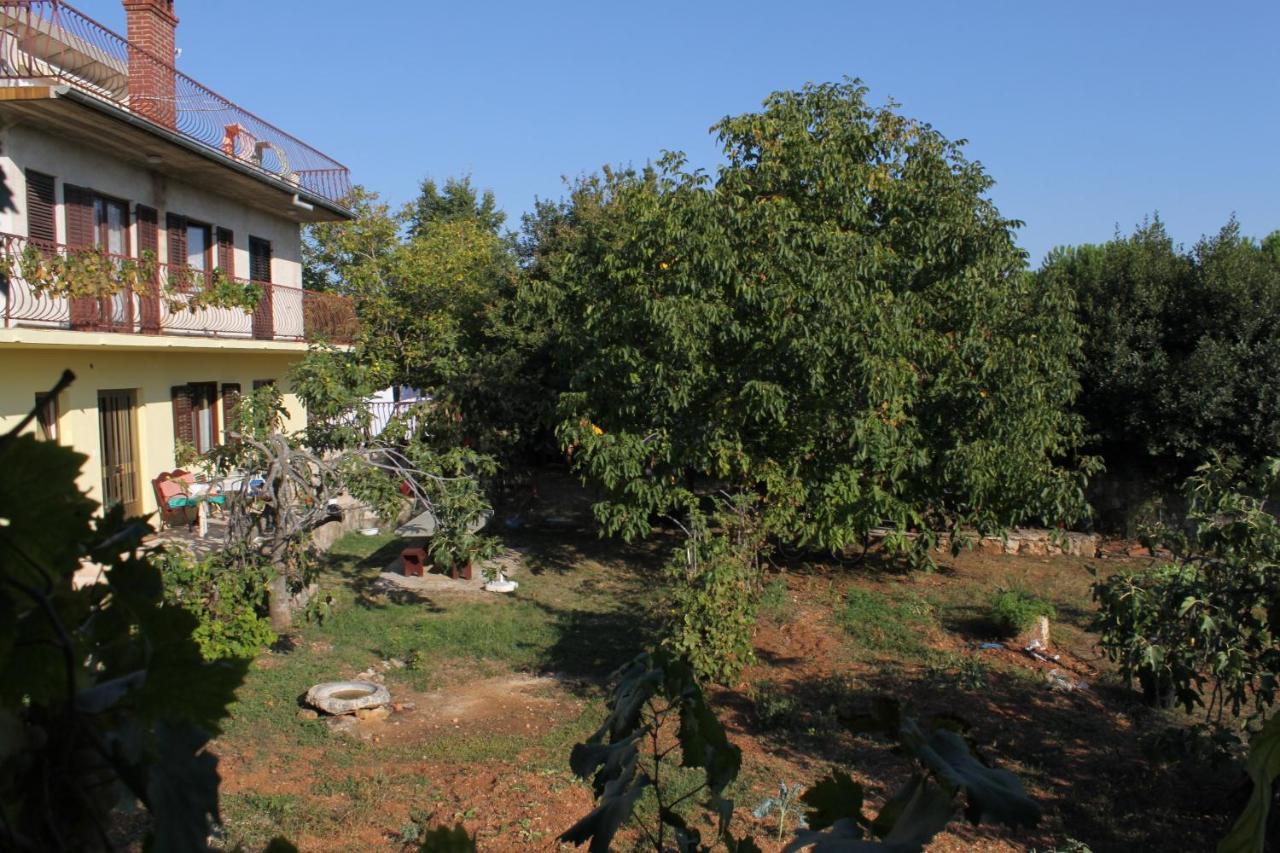Apartments And Rooms With Parking Space Rovinj - 7170 מראה חיצוני תמונה